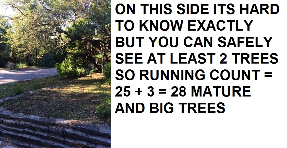 on-this-side-its-hard-to-know-excatly-but-you-can-safely-see-aty-least-2-trees-so-running-count-25-3-28-matrure-and-big-trees