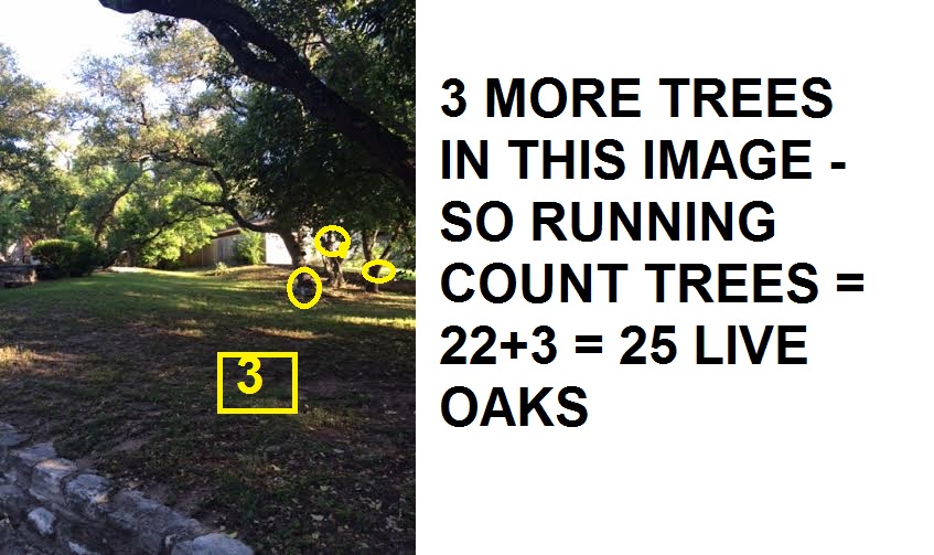 3-more-trees-in-this-image-so-running-count-trees-223-25-live-oaks