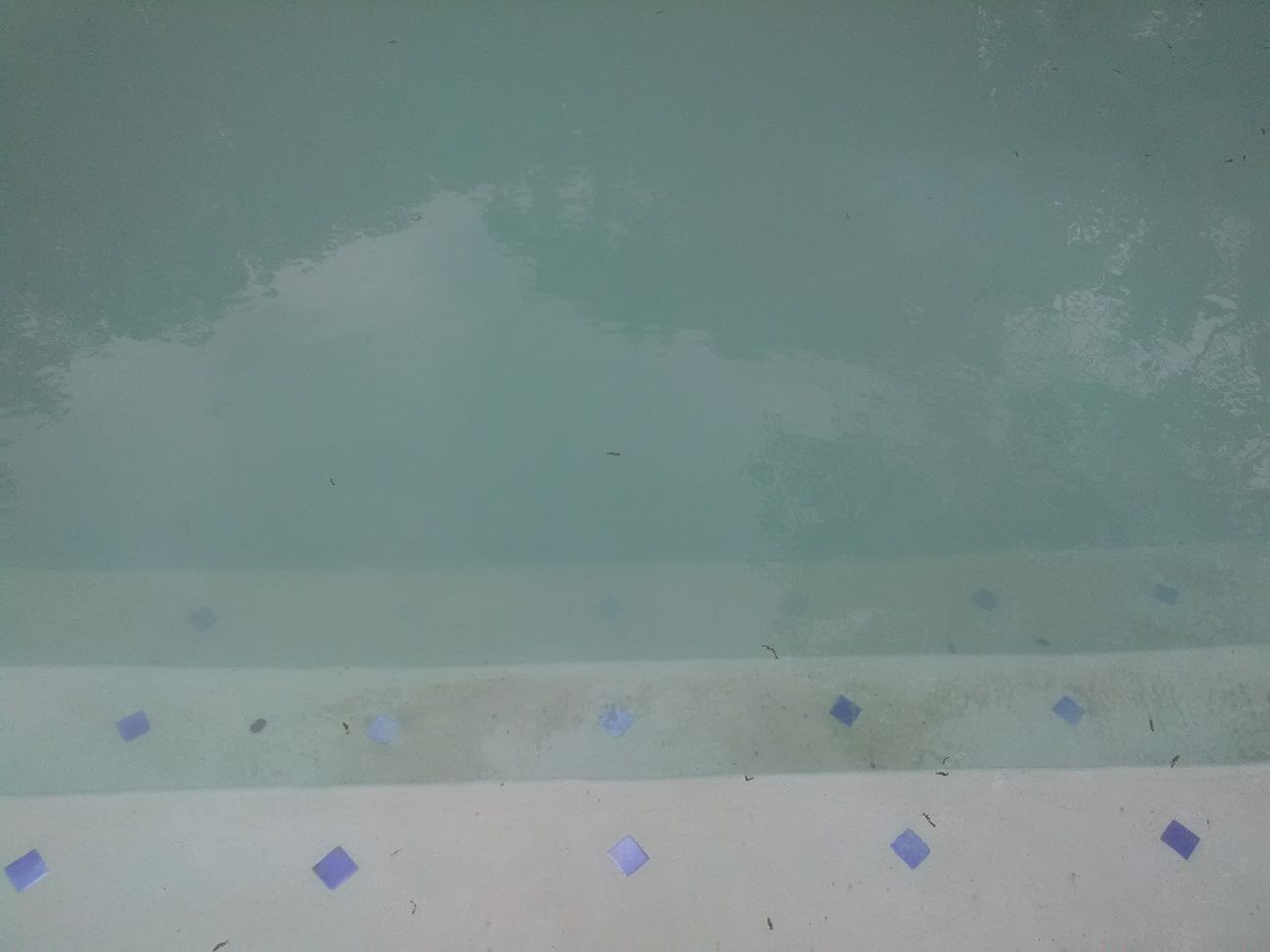 sedimentation settlement in the pool - BEFORE PHOT