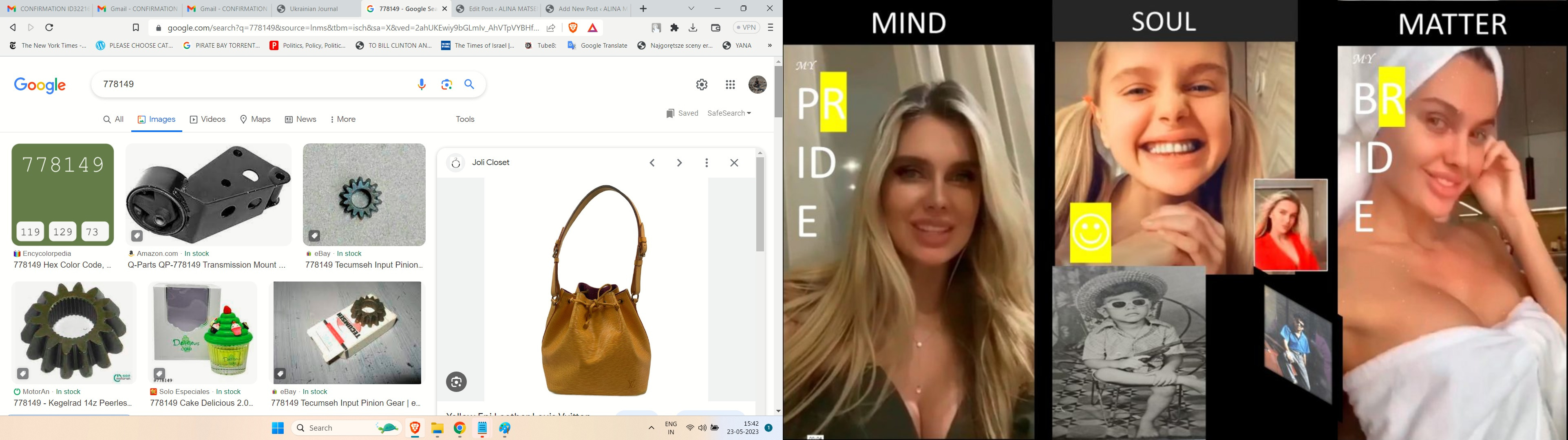 cropped-alina-matsenko-ajay-mishra-collage-mind-matter-soul 778149 Hex Color Code, RGB and Paints -- LLPUIS VOUTTION BAG IS WHO NATALIA NVADIANOVA FROM INSED LVMH BAG YELOW U EMAN MAADRHOD