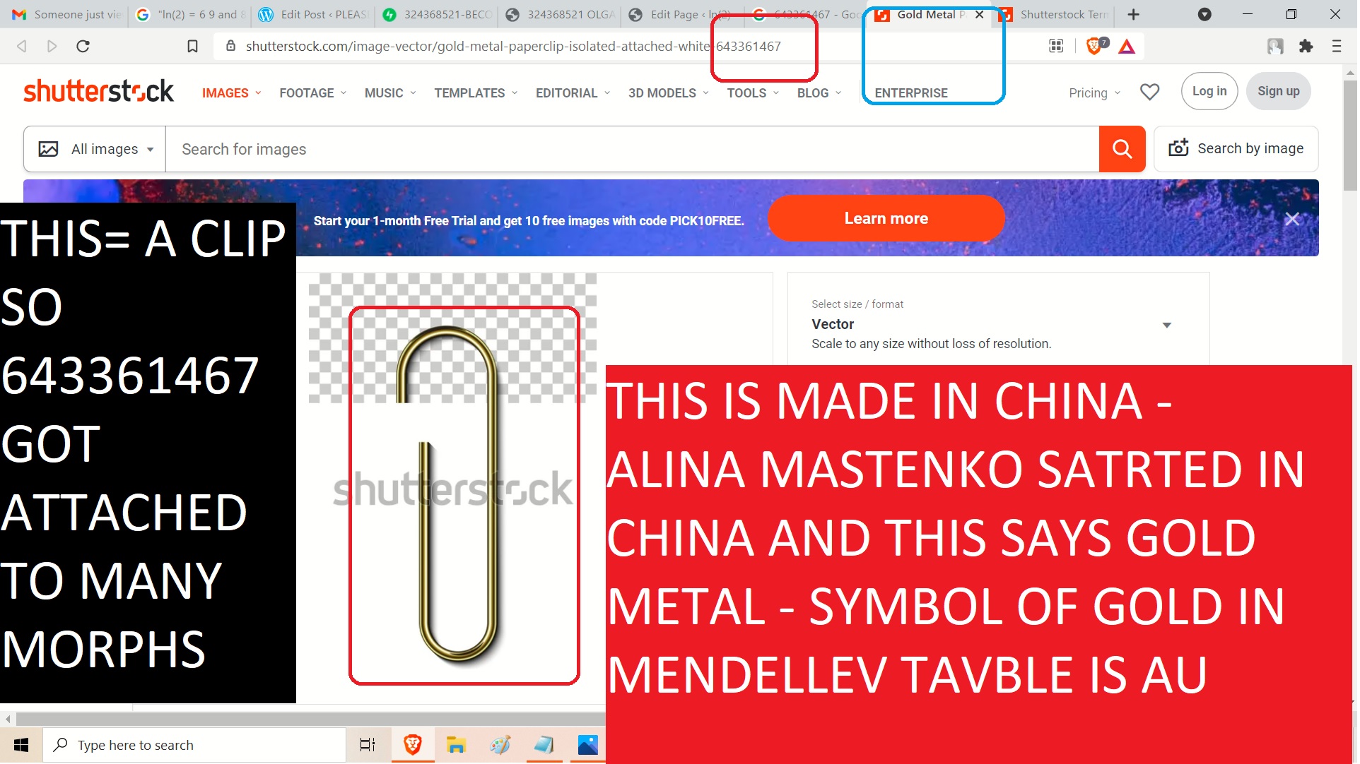 643361467 A CLIP MADE IN CHIN A- SO, THIS IS A GOLD CLIP - GLD = AU IN EMNDELEEV TABLE - THIS IS A CLIP THIS GOT ASTATACHED TO MANY MORPHS